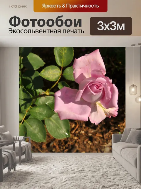 Фотообои Розовые розы