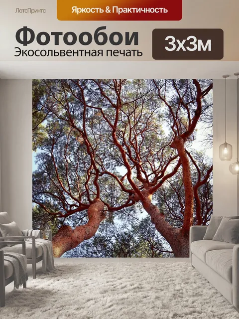 Фотообои Красная сосна