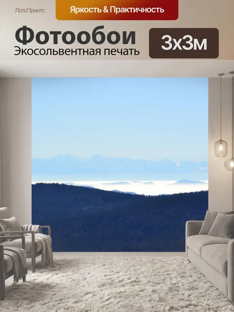 Фотообои Черный лес