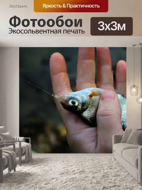 Фотообои Fish