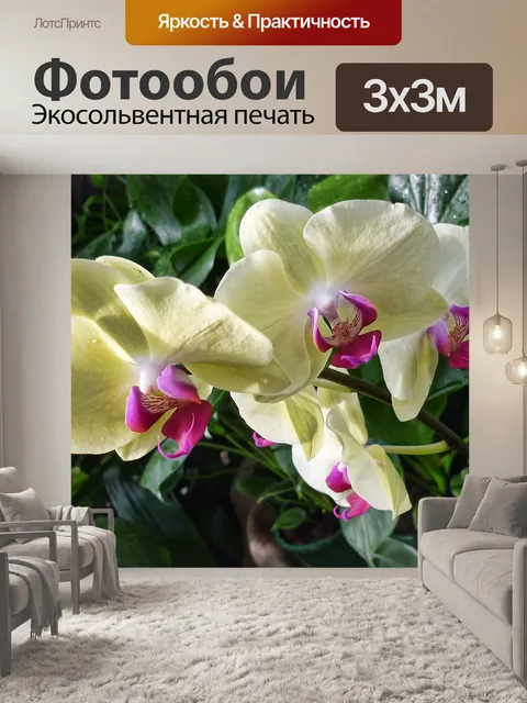 Фотообои Цветы