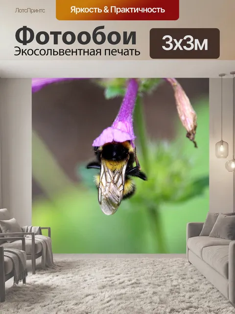 Фотообои Шмель