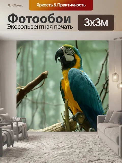 Фотообои Синий и желтый ара