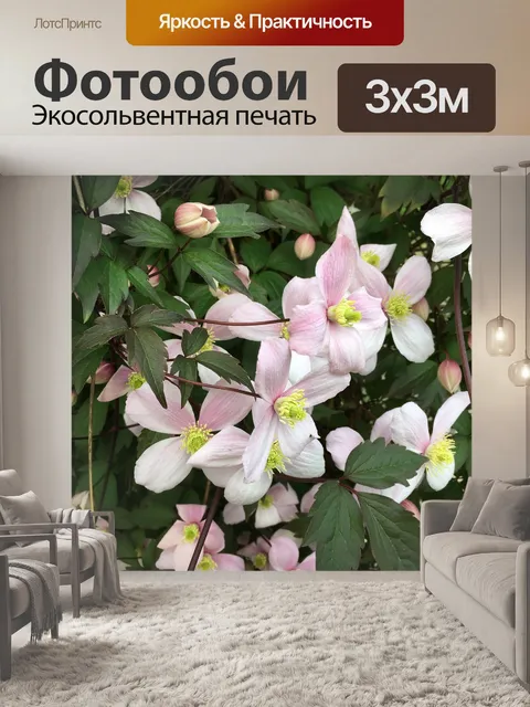 Фотообои Цветок
