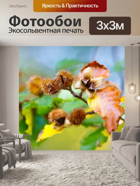 Фотообои Бук филиал осенью