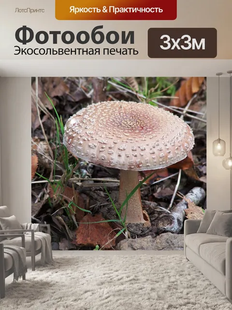 Фотообои Гриб
