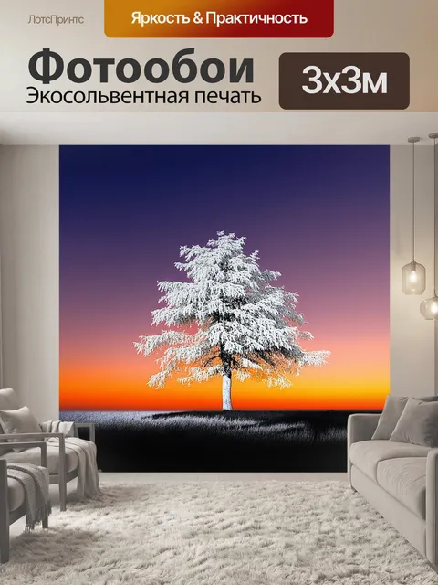 Фотообои белое дерево с размытой корой на фоне заката, где небо окрашено в яркие оранжевые и фиолетовые оттенки
