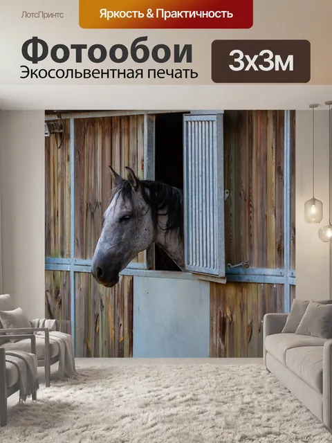 Фотообои Конный спорт
