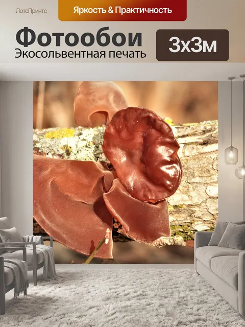 Фотообои Древесные гранулы на ветке дерева