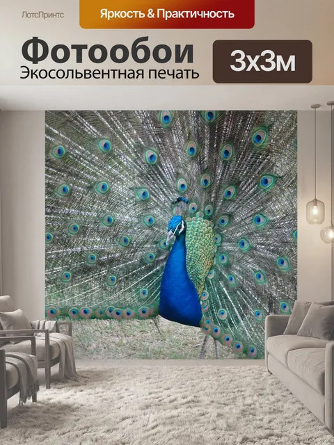 Фотообои Павлин