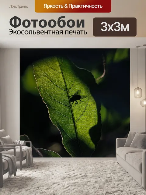 Фотообои Животное