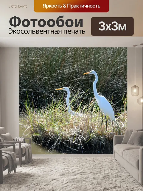 Фотообои Тропические птицы