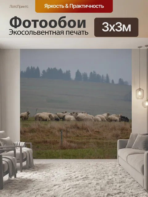 Фотообои Панорама