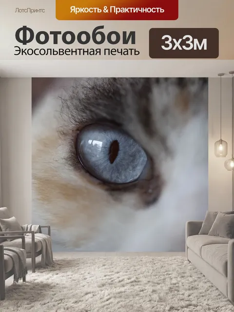Фотообои Кот