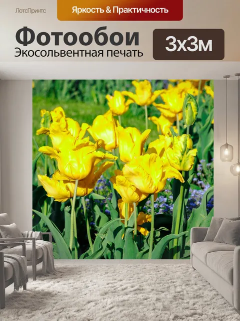 Фотообои Желтые тюльпаны