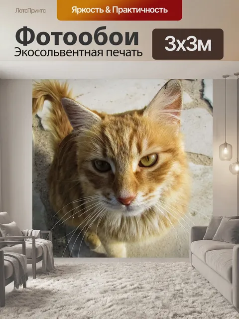 Фотообои Кипр
