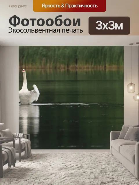 Фотообои Лебедь
