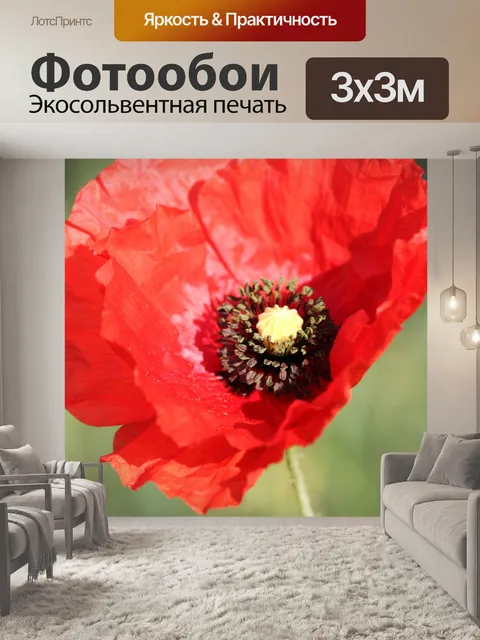 Фотообои Цветок