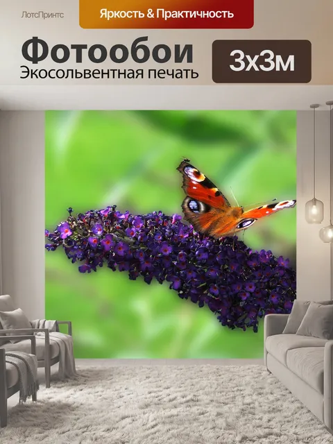Фотообои Слепой пассажир