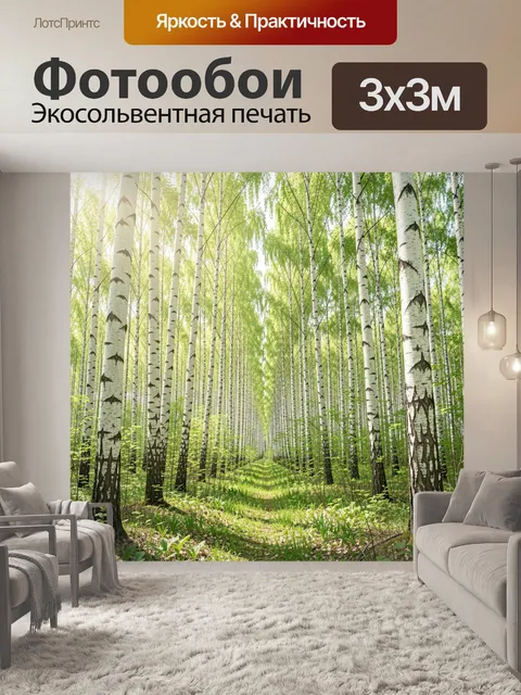 Фотообои Берёзовая роща с зелёной тропой