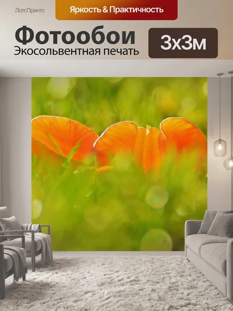 Фотообои Мандарины