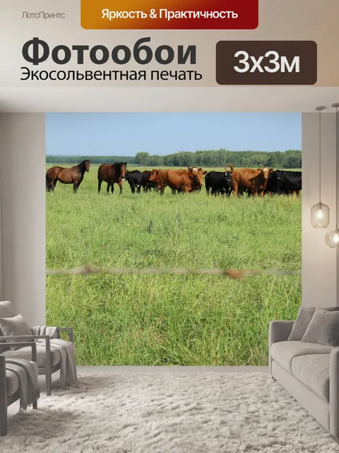 Фотообои Стадо коров и лошадей пастбищ