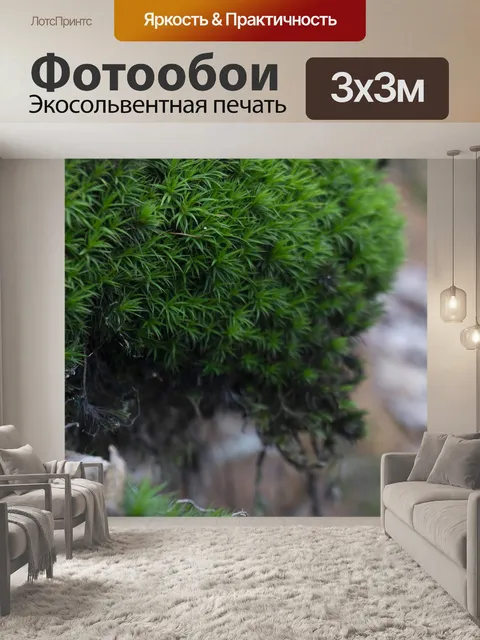 Фотообои Грин
