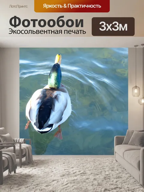 Фотообои Кряквы на озере