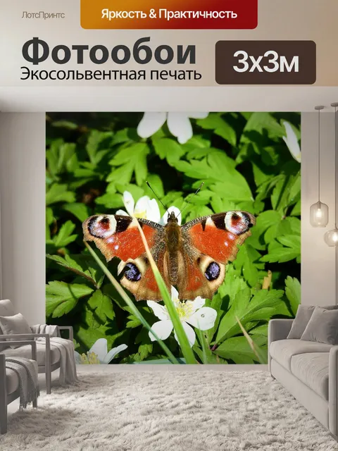 Фотообои Природа