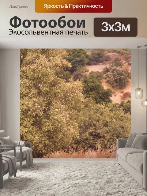 Фотообои Хилл Кисти