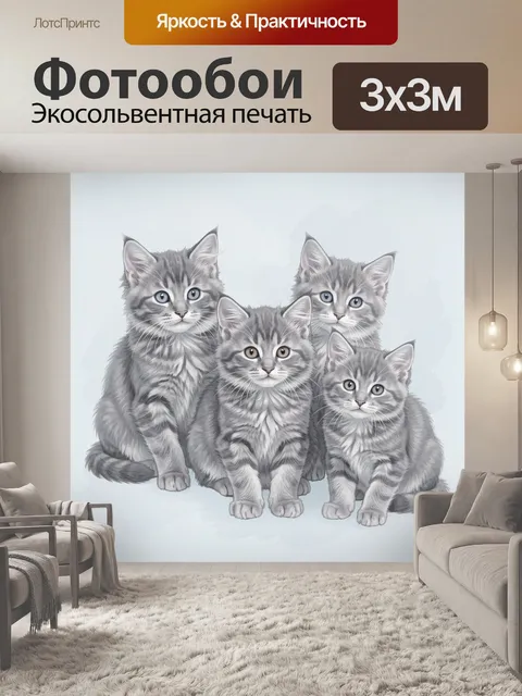 Фотообои Пушистые серые котята с голубыми глазами