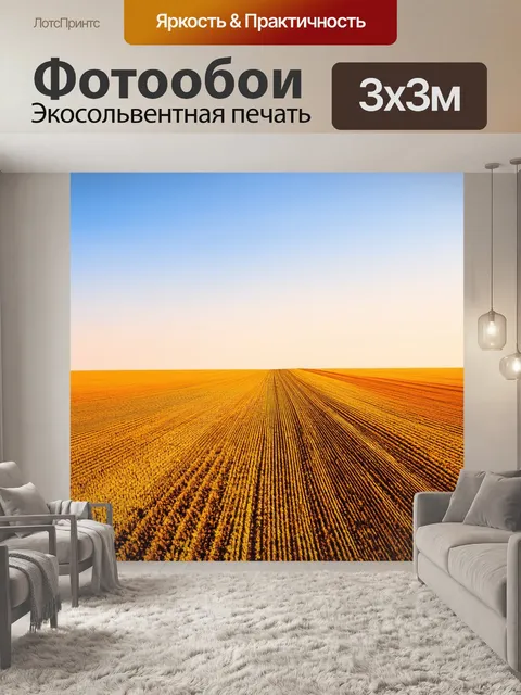 Фотообои поле, захваченное параллельными линиями горизонта, где небо и земля взаимодействуют, выполненное в…