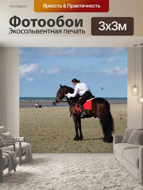 Фотообои Всадник