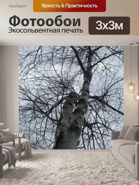 Фотообои Клен