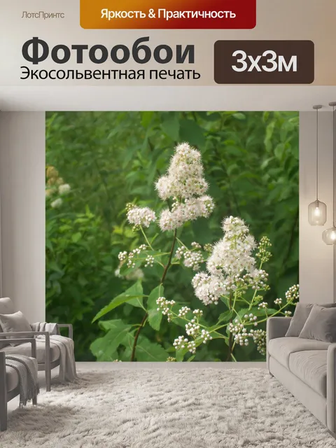 Фотообои Полевые цветы