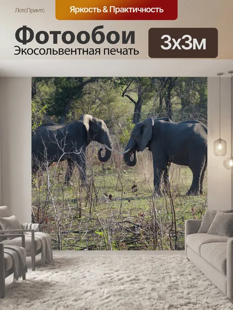 Фотообои Южная африка