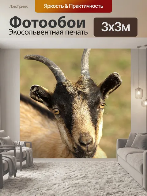 Фотообои Козел