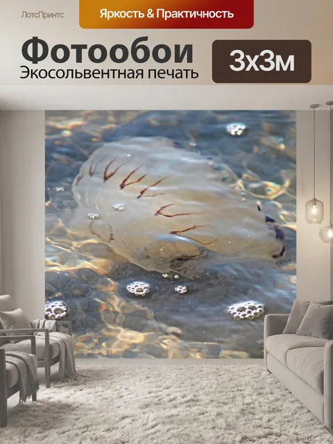 Фотообои Компас медуза