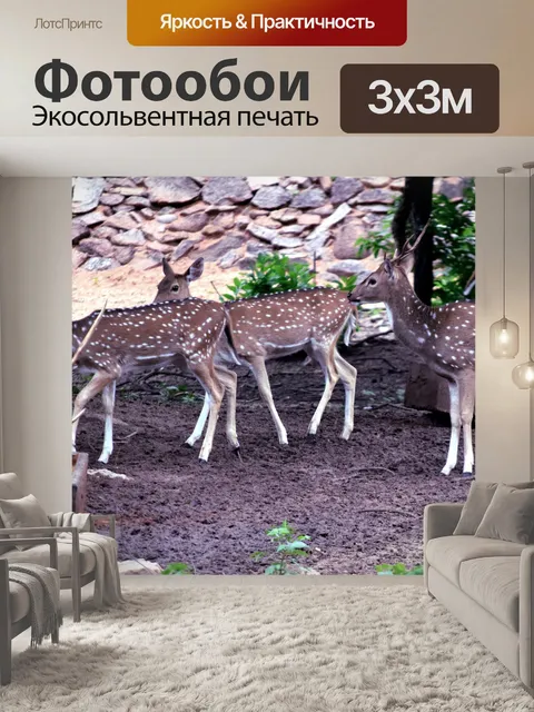 Фотообои Пятнистый олень 5