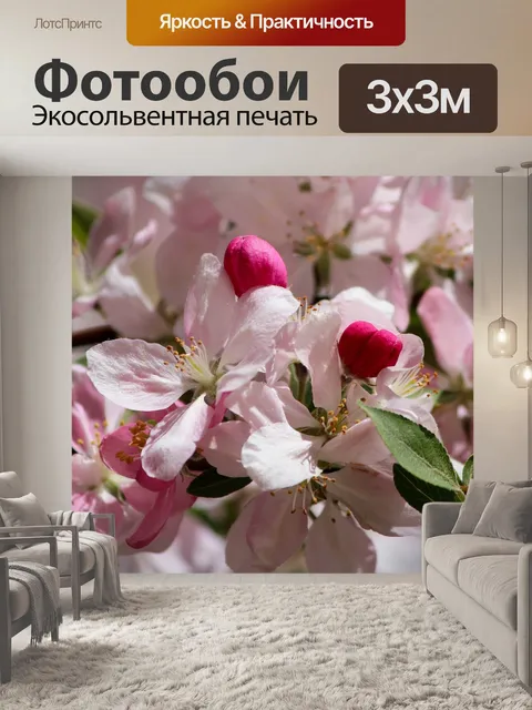 Фотообои Японские вишни в цвету