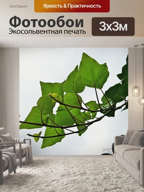 Фотообои плюща бегунов
