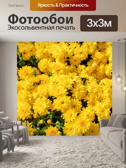 Фотообои желтая хризантема