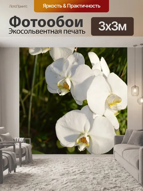 Фотообои Лили
