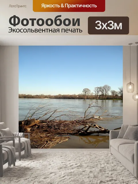 Фотообои Рона