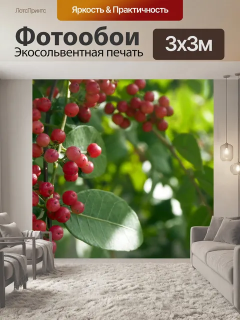 Фотообои Красные ягоды