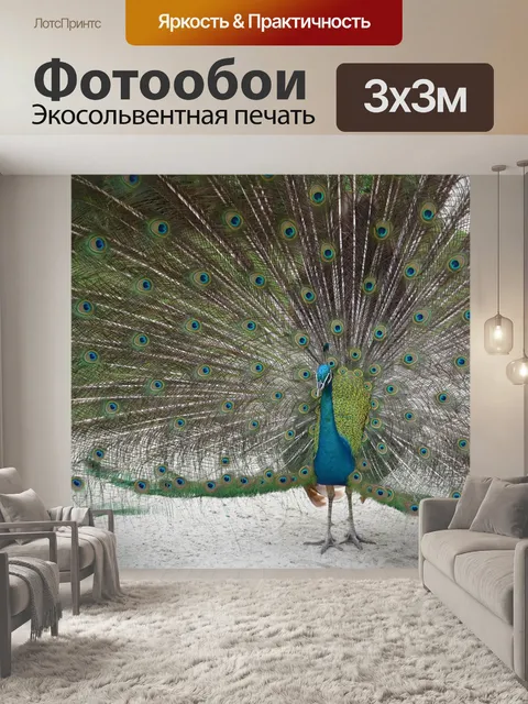 Фотообои Павлин