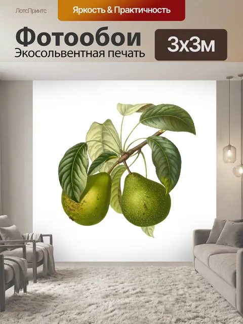 Фотообои Плоды груши винтажные