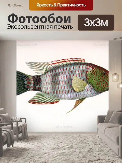 Фотообои Рыба красочные старинные старые