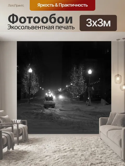 Фотообои Бостон