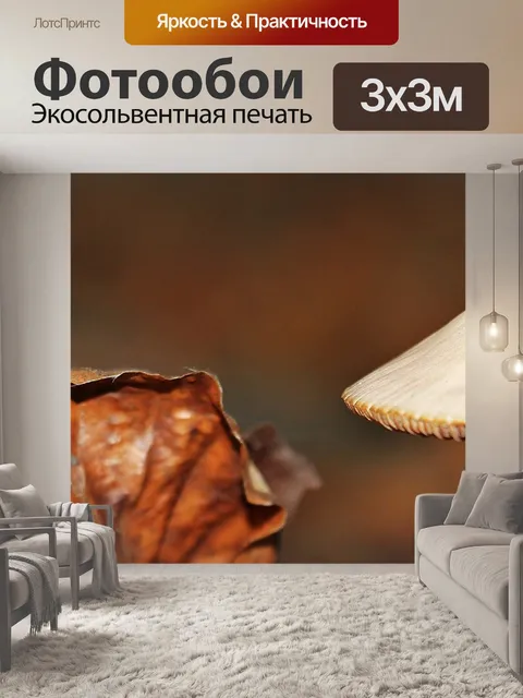 Фотообои Гриб